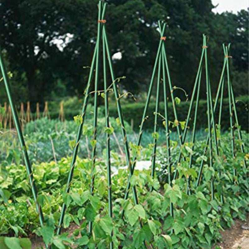 Growsun 4ft Garden Stakes Metal Plastic Coated Plant Cage Supports Tomato Stakes Trellis Climbing for Tomatoes,Trees,Cucumber,Fences,Beans,25 Pack - Image 5